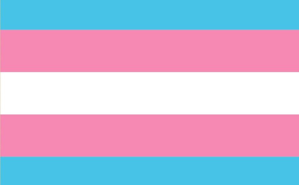 La transfobia no es una opiniรณn