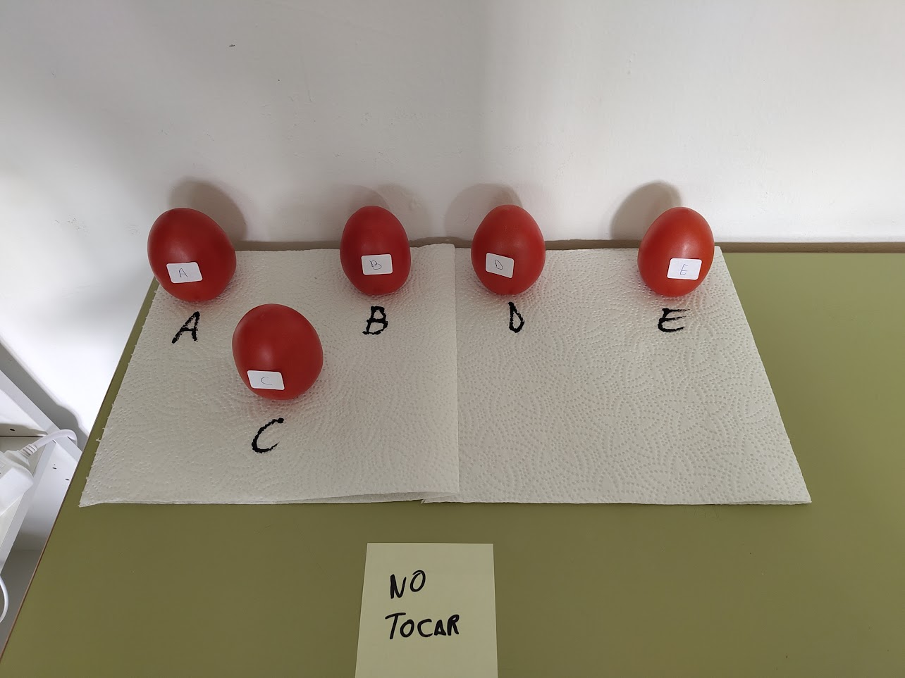 Cinco tomates, etiquetados desde la A hasta la E, colocados verticalmente sobre papel de cocina.