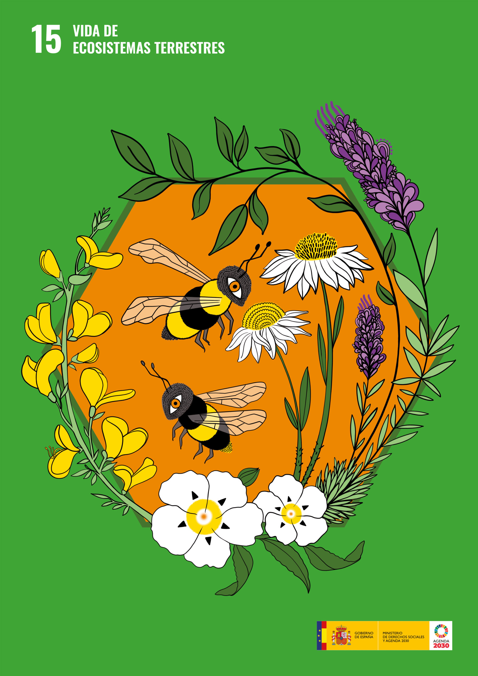 Cartel sobre el ODS 15: Vida de los ecosistemas terrestres. Aparecen animales y plantas típicos de los ecosistemas extremeños