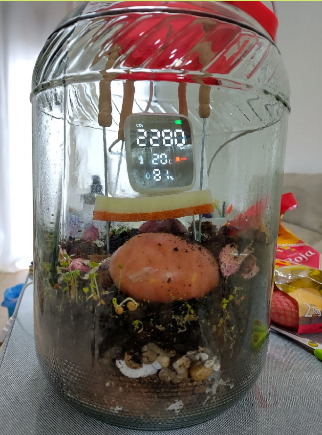 Terrario construido en el interior de un tarro de vidrio.