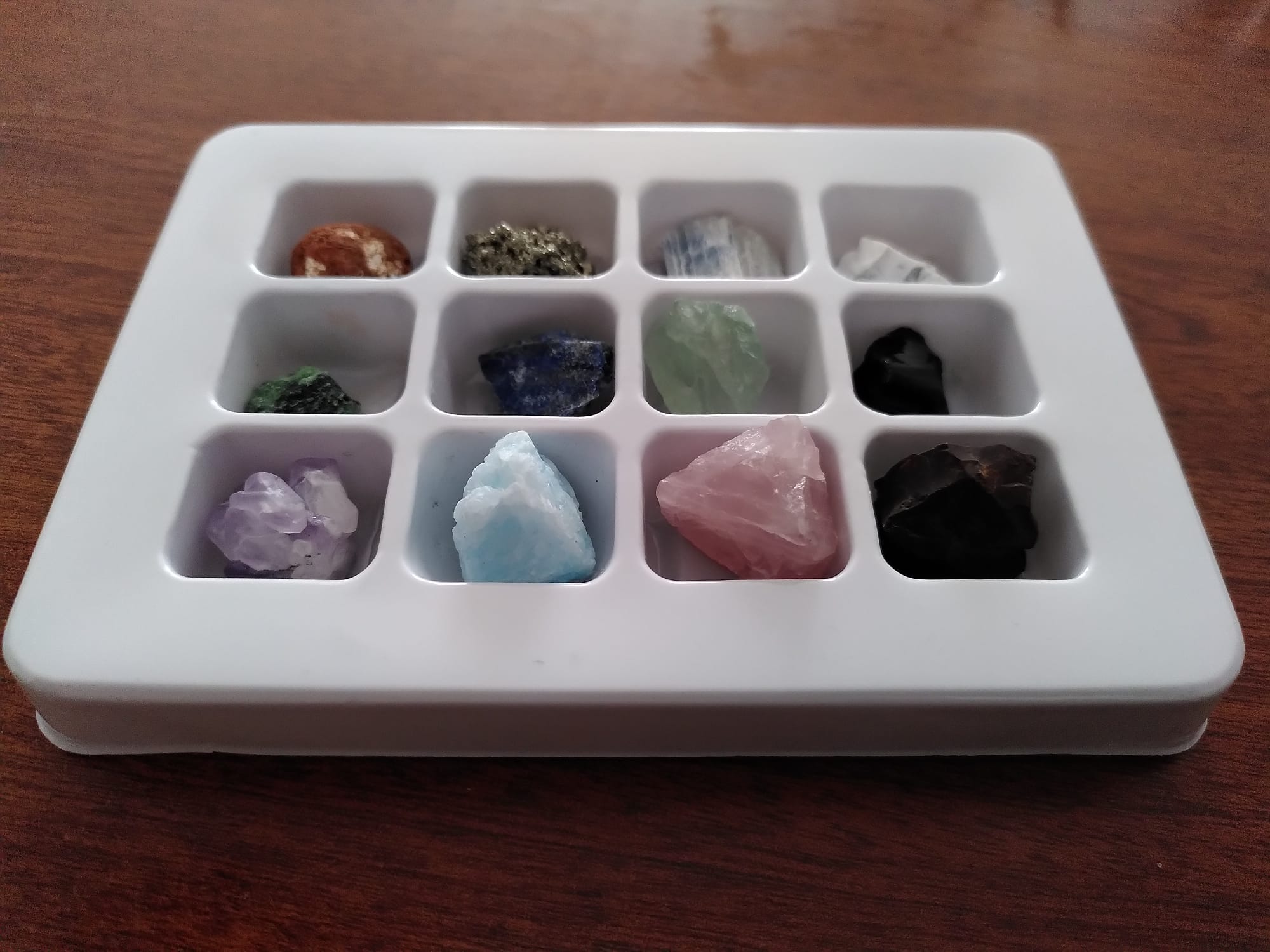 Caja con una docena de muestras de minerales.